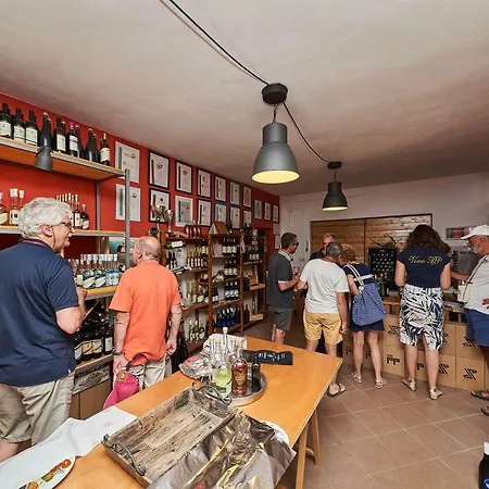 Enrica Apartmán Novigrad Istria
